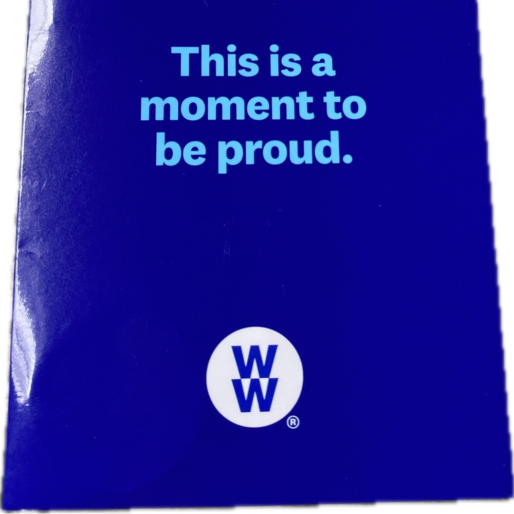 WW Milestone Charms